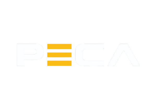 peca Elettrica